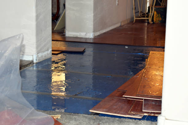 Professional Flood Cleanup technician working in Nassau, NY